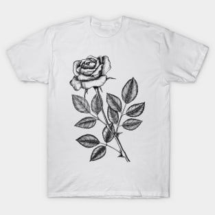 Rose drawing 2 T-Shirt